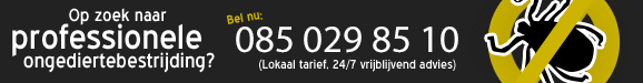 Bel nu voor professionele ongediertebestrijding 085 029 8510 lokaal tarief, 24/7 vrijblijvend advies)